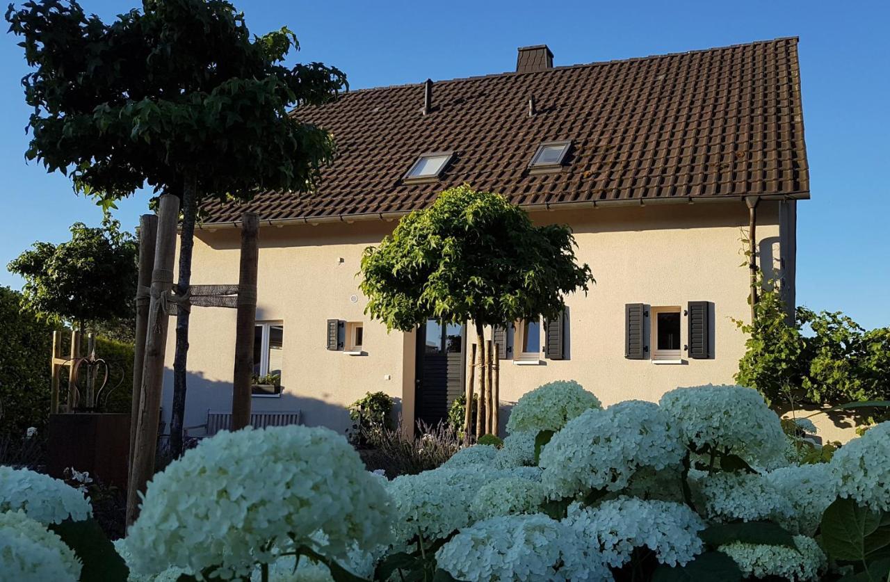 Appartement Gleisberg3 - Suedliche Weinstrasse à Billigheim-Ingenheim Extérieur photo